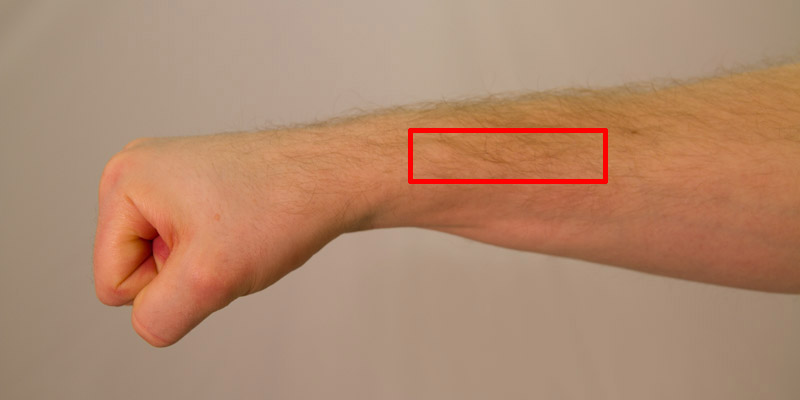 Taekwon-Do inner forearm blocking tool