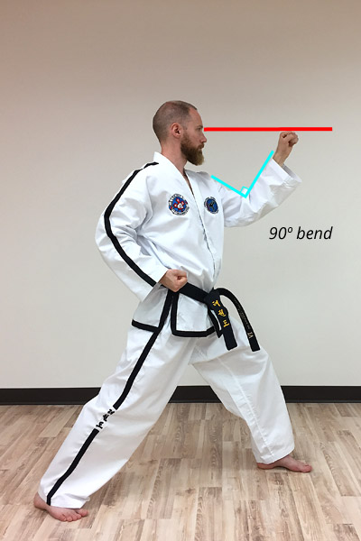 Taekwon-do outer forearm high side block diagram